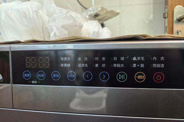 海尔滚筒洗衣机清洗指南（让你的洗衣机始终保持洁净和高效）