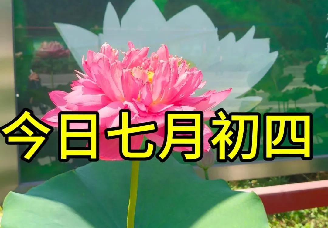 今日七月初四，提醒“5样不上桌，福气不进门”，哪5样？别不懂吃