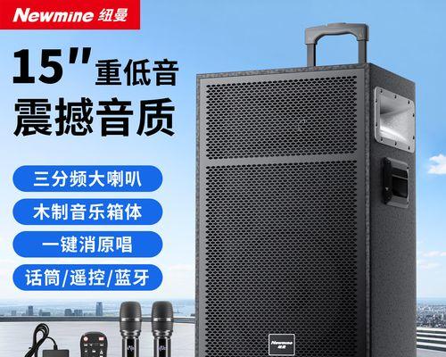 纽曼音响系列测评怎么样？音质表现如何？