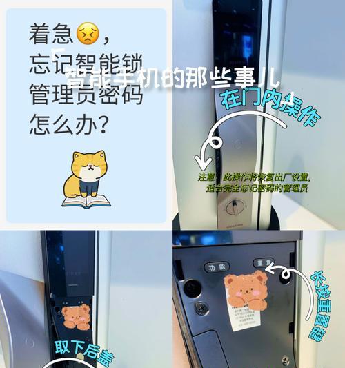 苏菲娅智能门锁的设置步骤是什么？如何进行个性化设置？