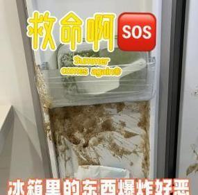 冰箱失去保鲜与制冷功能（家用冰箱突然失去保鲜与制冷功能）