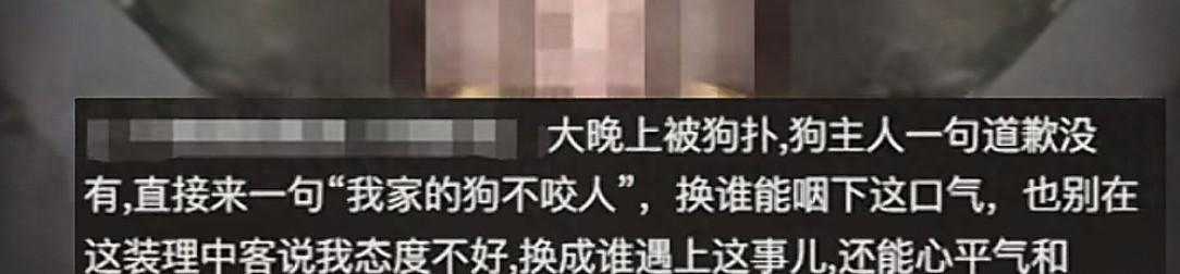 未牵绳小狗扑男子腿被踢开，狗主人不道歉，怒斥:我家狗又不咬人