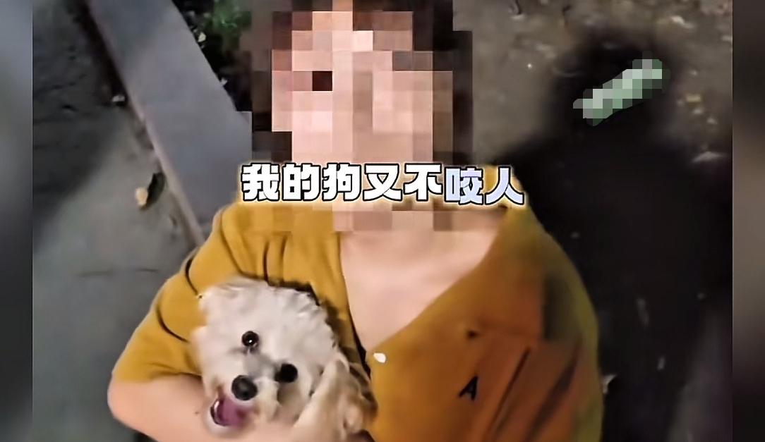 未牵绳小狗扑男子腿被踢开，狗主人不道歉，怒斥:我家狗又不咬人