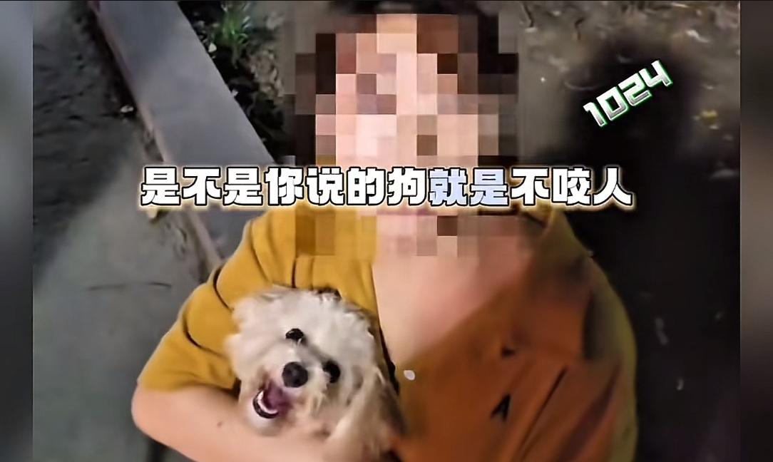 未牵绳小狗扑男子腿被踢开，狗主人不道歉，怒斥:我家狗又不咬人