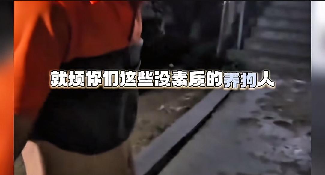 未牵绳小狗扑男子腿被踢开，狗主人不道歉，怒斥:我家狗又不咬人