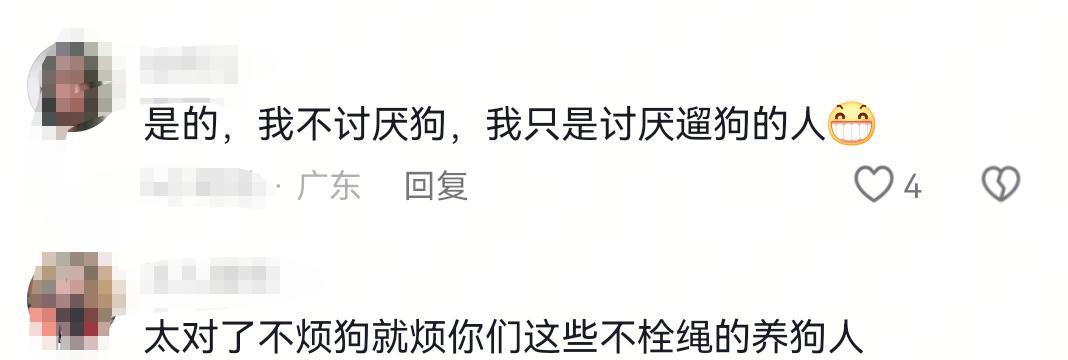 未牵绳小狗扑男子腿被踢开，狗主人不道歉，怒斥:我家狗又不咬人