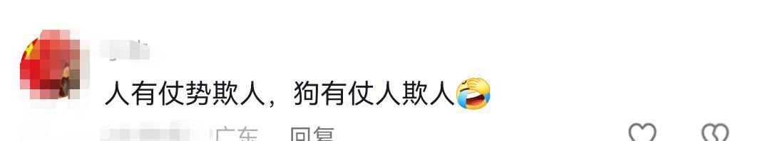 未牵绳小狗扑男子腿被踢开，狗主人不道歉，怒斥:我家狗又不咬人